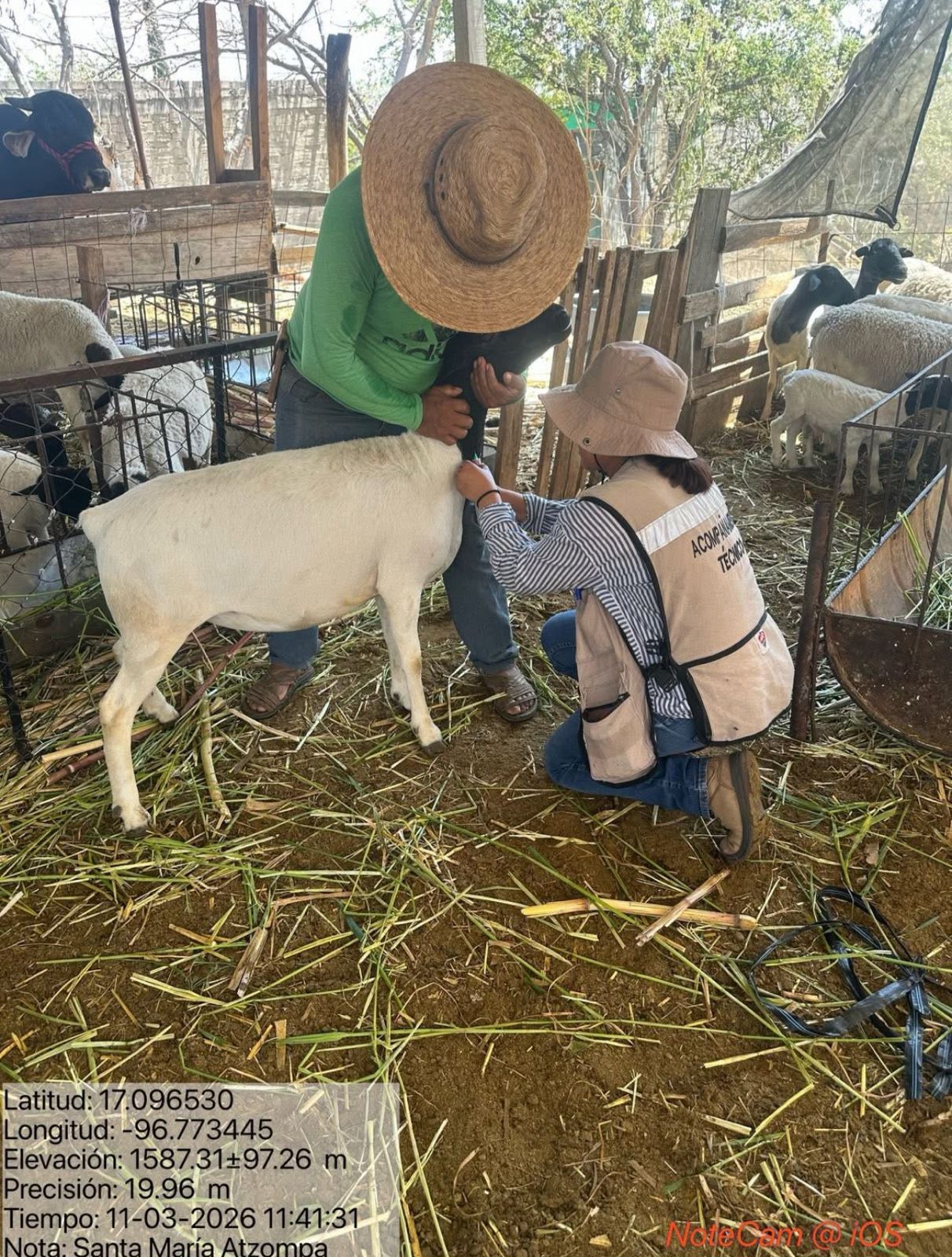 Campaña preventiva contra la brucelosis y el gusano barrenador.